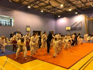 Bushido Course 2017